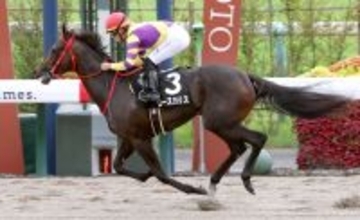 【報知杯ＦＲ】阪神ＪＦ１３着のローズカリスは距離短縮で怖い存在　大橋調教師「１６００メートルより...」