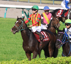 【ニュージーランドＴ】直線で伸びを欠いたゴーラッキーは初黒星の６着　横山武史騎手「右回りは良くないですかね」