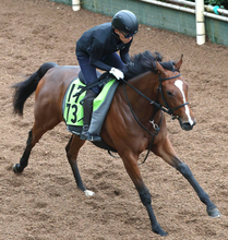 【ＰＯＧ】福永厩舎の２・４億円馬ベルコートは中京開幕週でデビューへ　兄にグレナディアガーズなど