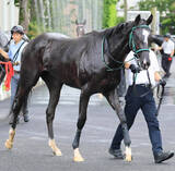 「【注目馬動向】新馬戦を３馬身半差完勝のリサナウトは９月２７日中山のサフラン賞へ　祖母はエアグルーヴ」の画像1
