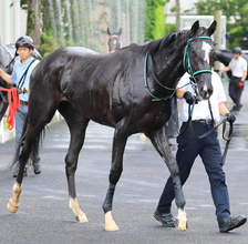 【注目馬動向】新馬戦を３馬身半差完勝のリサナウトは９月２７日中山のサフラン賞へ　祖母はエアグルーヴ