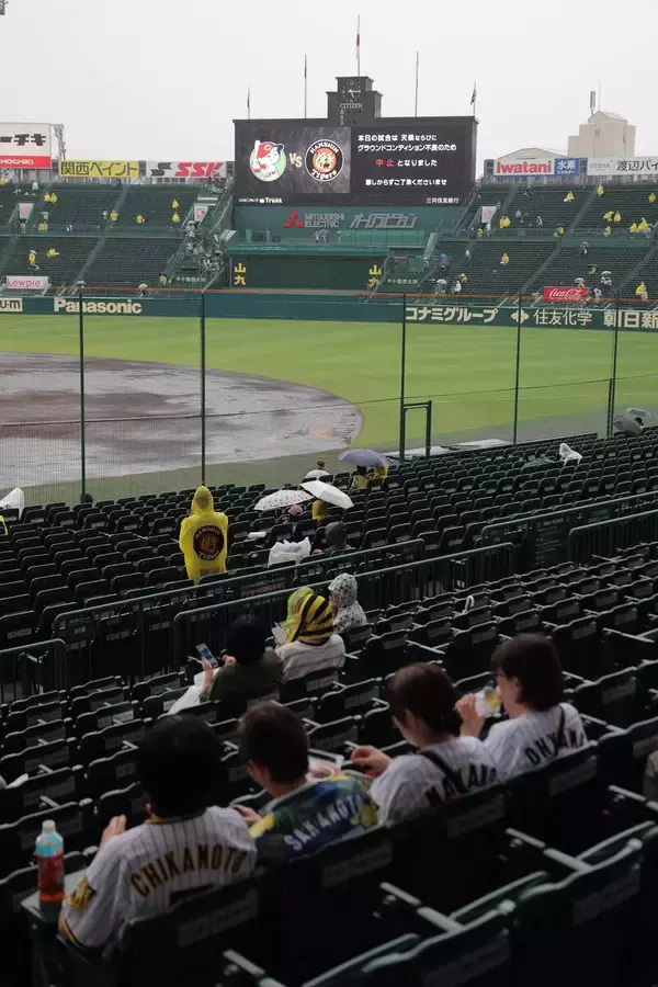 【阪神】今季１５度目の中止…甲子園は夕方から雨が降り続く　２位・巨人とは２差　相性の悪い栗林良吏との対戦回避も今後の日程はより過密に