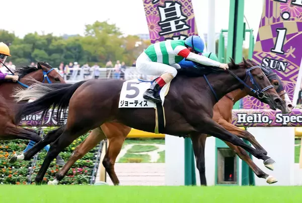 【東京６Ｒ・２歳新馬】ルメール騎手の手腕光る　単勝１・９倍のジョーティスが鼻差差し切りＶ「能力はありそうです」