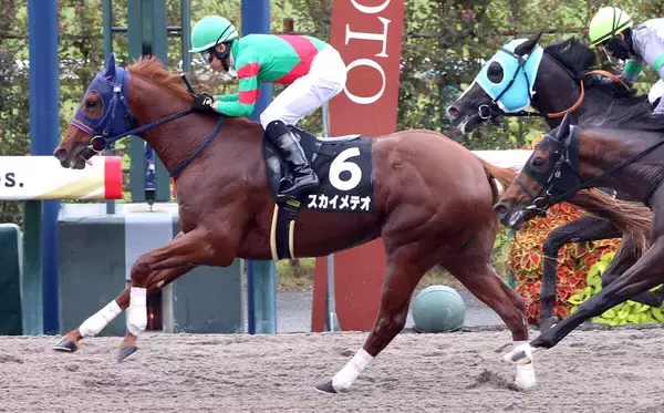 スカイメテオが京都９Ｒ・なでしこ賞で２歳ＪＲＡレコードＶ　約１０年ぶりに０秒１更新