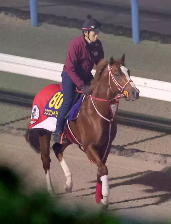 【有馬記念】今度は本来の力を見せる　シンエンペラーの変身があるぞ　陣営「体も精神的にも成長しています」