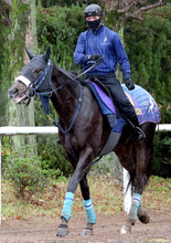 【ホープフルＳ】ジャスティンビスタは内の２枠３番　２週連続Ｇ１制覇を狙う吉岡調教師「内めでいいと思う」