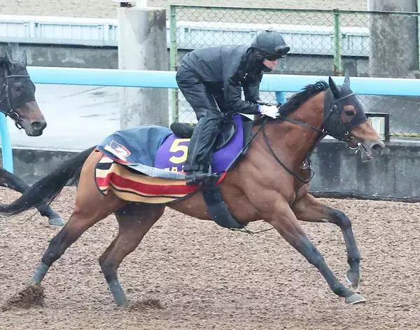【フェブラリーＳ・浅子の特注馬】本命候補のコスタノヴァは調整遅れ？　昨年以上に直前の動向に注目