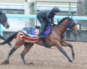 【フェブラリーＳ・浅子の特注馬】本命候補のコスタノヴァは調整遅れ？　昨年以上に直前の動向に注目