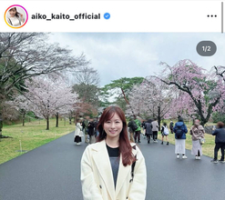 皆藤愛子アナ、桜バックのショットに絶賛の声！　「桜も良いけど…」「絵になります」「桜もよく似合う」