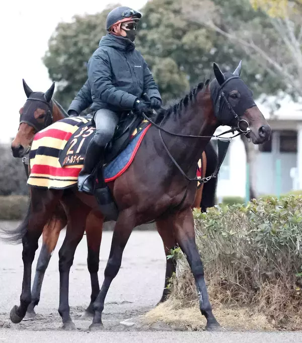 「【注目馬動向】東スポ杯２歳Ｓ勝ち馬のパントルナイーフは皐月賞へ　キャロットクラブが発表」の画像