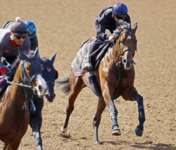 【青葉賞】上原佑調教師「素質は皐月賞の３頭と遜色ない」　武豊騎手騎乗のゴーイントゥスカイでダービー４頭出しへ