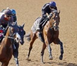 【青葉賞】上原佑調教師「素質は皐月賞の３頭と遜色ない」　武豊騎手騎乗のゴーイントゥスカイでダービー４頭出しへ