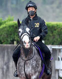 「【注目馬動向】天皇賞・春３着のアドマイヤテラは武豊騎手で札幌記念を視野」の画像1