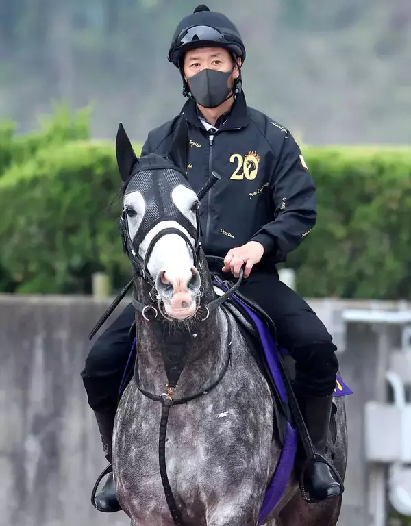 【注目馬動向】天皇賞・春３着のアドマイヤテラは武豊騎手で札幌記念を視野