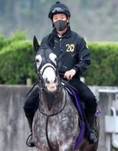 【注目馬動向】天皇賞・春３着のアドマイヤテラは武豊騎手で札幌記念を視野