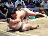 「幕下・藤壮大が連勝発進　３番相撲以降で番付の東西で並ぶ旭富士と対戦の可能性も「自分の相撲を取るだけ」」の画像1