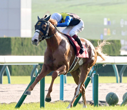 【注目馬動向】ダイヤモンドノットは阪神Ｃで重賞連勝狙う　エルトンバローズ＆ジュンブロッサムは天皇賞・秋へ