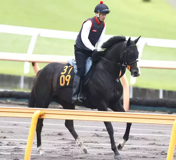 【ＰＯＧ】藤田晋オーナーの期待馬ユメノカケラが１８日東京でデビュー　津村明秀騎手「芝で動けそう」