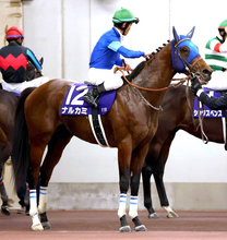 「飛んだのまじかよ」「どうしちゃったの」直線で沈んだ断然１番人気にファン落胆　ナルカミはまさかの２桁着順