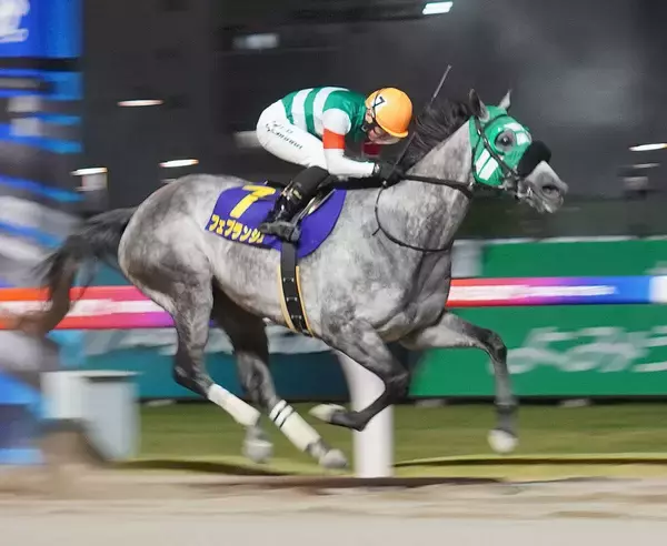 地方競馬　世代別牝馬重賞シリーズ競走「グランダム・ジャパン２０２６」の概要決定　今年は全３０競走を予定