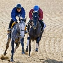 【きさらぎ賞・１週前】重賞初制覇へ虎視たんたん　ラスト１１秒４で先着ゾロアストロに宮田調教師「いい追い切りでした」