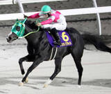 「【注目馬動向】報知新聞社杯エーデルワイス賞勝ち馬のリュウノフライトが骨折　四位調教師「復帰は秋ごろになると思います」」の画像1