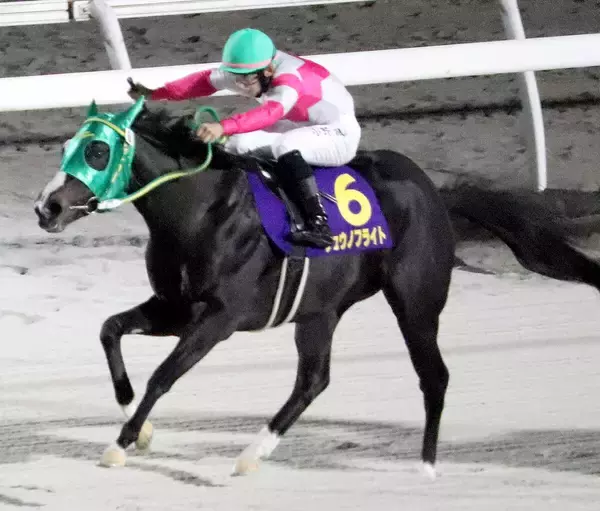 【注目馬動向】報知新聞社杯エーデルワイス賞勝ち馬のリュウノフライトが骨折　四位調教師「復帰は秋ごろになると思います」