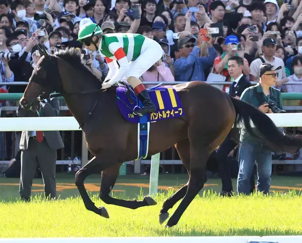 【皐月賞】パントルナイーフは１４着　ルメール騎手が「ちょっとバッドタイミング」と振り返ったポイントは？