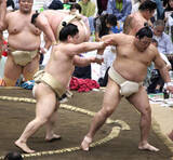 「朝紅龍、春巡業で充実の２０番「いい稽古ができた」」の画像1