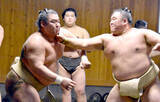 「春巡業を途中休場、４１歳玉鷲が高田川部屋に出稽古　１２番で９勝　幕内在位１００場所到達は「メールが来て知った」」の画像1