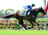 「遅れてきた良血牝馬の未勝利戦圧勝にＳＮＳ「他馬とはスピードの違いで…」　ファルカータが中京で初勝利」の画像1