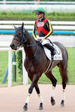 「【２６日の注目・中京６Ｒ】菊花賞へ譲れない３歳の素質馬２頭が激突！　リバティアイランド妹も参戦で注目の一戦」の画像1