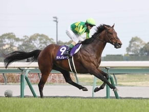 高松宮記念連覇のサトノレーヴが電撃引退　秋のＧ１開幕前に決断した理由とは…　社台ＳＳで種牡馬入りへ