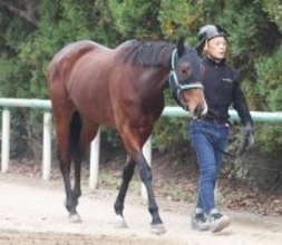 【注目馬動向】有馬記念に出走予定のライラックは出走が絶望的に　ファン投票１１位のため