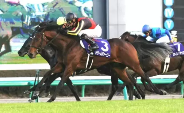 まるで「ディープの小型版」！“善戦マン”と呼ばれた父ステイゴールドの物語継ぐ“夢の旅路”　朝日杯ＦＳ過去の名勝負