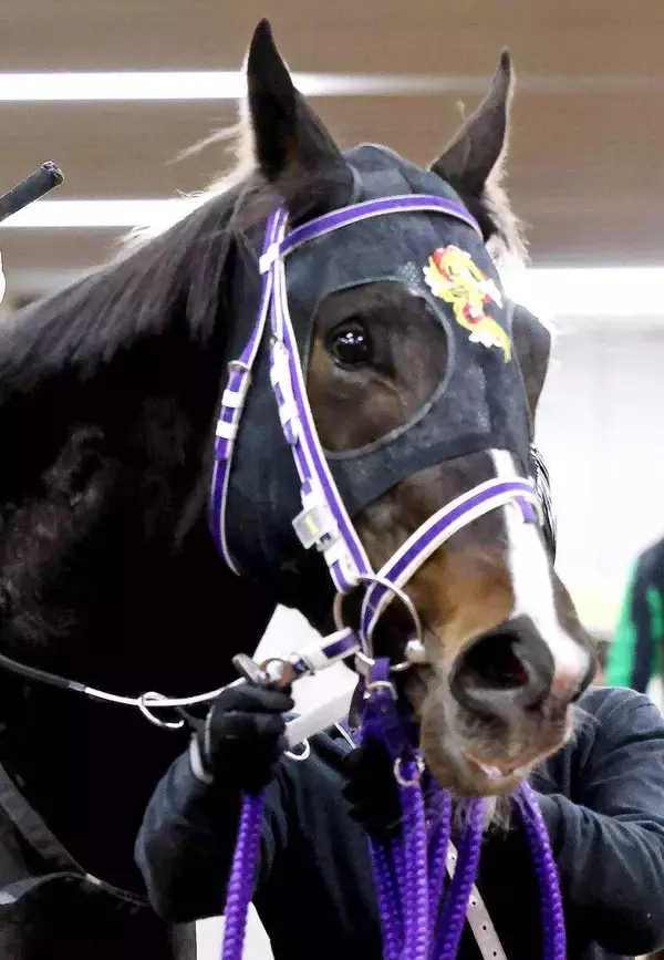 土曜京都競馬場の注目激走馬…京都１１Ｒ羅生門ステークス