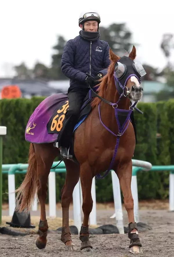 【スプリングＳ】前走の勝ちっぷりなら重賞でも「伸びしろはある」鹿戸調教師はミスターライトの上昇ぶりにも手応え　