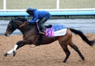 【注目馬動向】アートバーゼルが予定していた来週のフラワーＣを回避して放牧へ