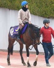 【高松宮記念】キャリア３２戦目でＧ１初挑戦のエーティーマクフィはソフト仕上げ　武英調教師「いい意味でピリッと」