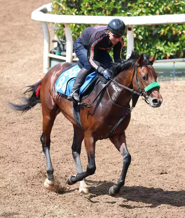 【アンタレスＳ】人気が予想されたグランドプラージュが抽選の結果、除外に　ここまで５戦４勝の素質馬