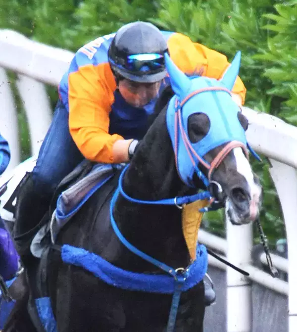 「ＰＯＧ馬で...」「数奇な運命」かつて話題をさらった４億９０００万円馬が天国へ　ネットでは哀悼の声が続出　