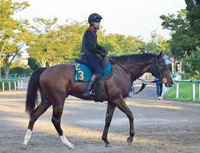 【ＰＯＧ】ゴーイントゥスカイ＆グリーンエナジーに先着！中山デビューのインヴィディアに上原佑調教師「ポテンシャルは...」