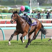 １６年の皐月賞馬ディーマジェスティが種牡馬を引退　ＵＡＥダービーを勝ったワンダーディーンの父