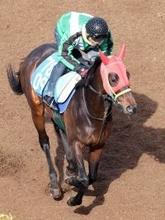 【阪急杯】「心配ごとがひとつ減る」宮調教師は１ハロン短縮で初タイトル期待　実績馬マイネルチケットは上積み十分