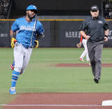 「【日本ハム】カストロが左越えソロ「コンディションを維持してシーズンを迎えたい」…台湾の味全と国際交流試合」の画像1