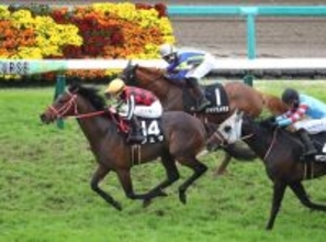 【中山１１Ｒ・美浦Ｓ】「個人的にも美浦生まれ美浦育ちなので」横山武史騎手が素質馬ジュタを復活Ｖ導き笑顔