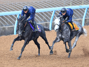 【皐月賞】終始楽な手応えでラスト１１秒２！　きさらぎ賞Ｖから直行のゾロアストロは「力は出せる仕上がり」と宮田調教師　