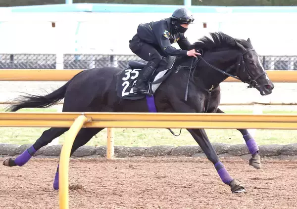 【青葉賞】友道調教師「何とかダービーに」　ブラックオリンピアが推進力十分の半マイル追い　権利取りへ勝負駆け