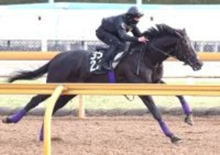 【青葉賞】友道調教師「何とかダービーに」　ブラックオリンピアが推進力十分の半マイル追い　権利取りへ勝負駆け