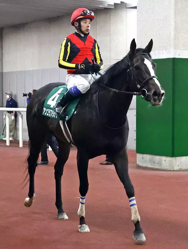 【新潟大賞典】３番人気のアンゴラブラックは１０着　岩田康誠騎手「勝負に行ったけども…」
